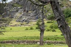 17-WhatsApp-Image-2025-04-02-at-16.17.57