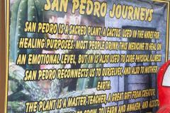 17-WhatsApp-Image-2025-04-02-at-16.18.25