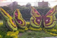 18-WhatsApp-Image-2025-03-21-at-18.24.34