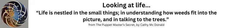 Website byline: Vantage Point Logo, Looking at life: Life is nestled in the small things; in understanding how weeds fit into the picture, and talking to the trees. quotation from The Puppet Master's Secret by Cathy Mc Donald 